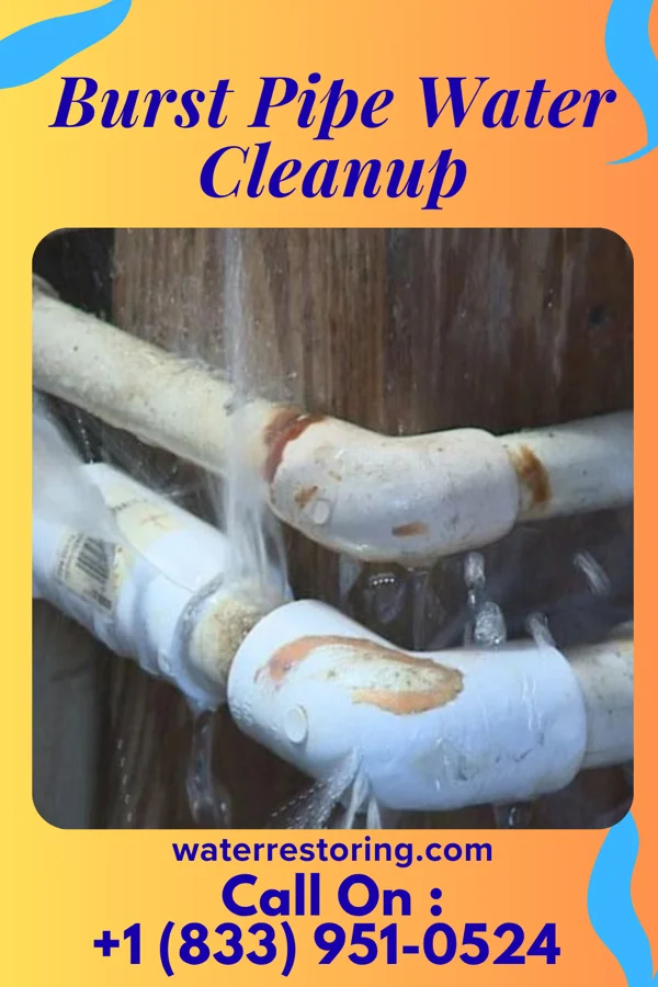 Burst Pipe Water Cleanup in Clifton, NJ