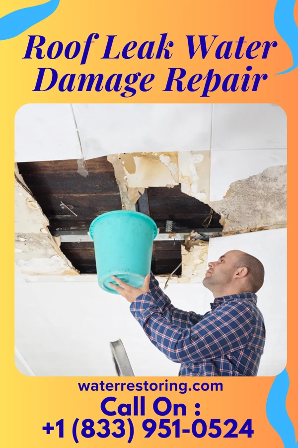 Roof Leak Water Damage Repair in Clifton, NJ