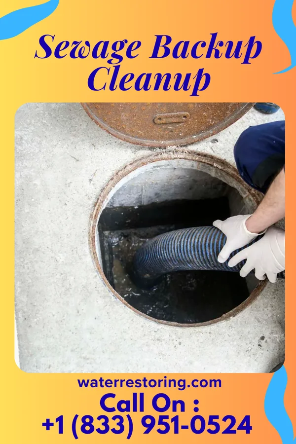 Sewage Backup Cleanup in Clifton, NJ